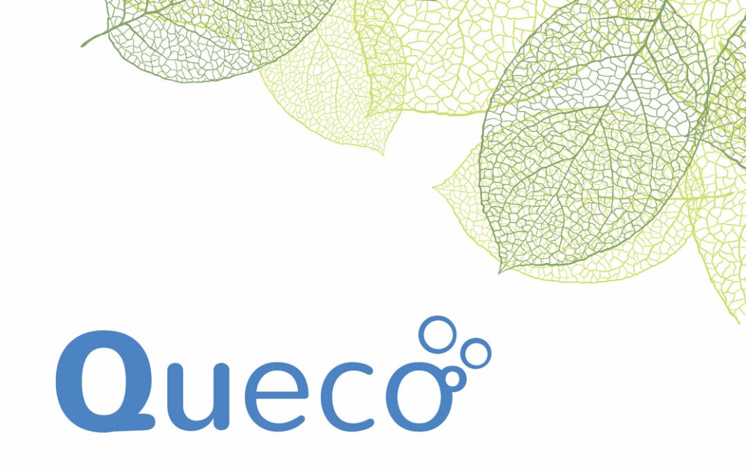 Queco – Logo, Materiały promocyjne, Strona internetowa